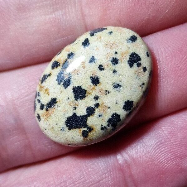 26x19mm dalmation jasper cabochon