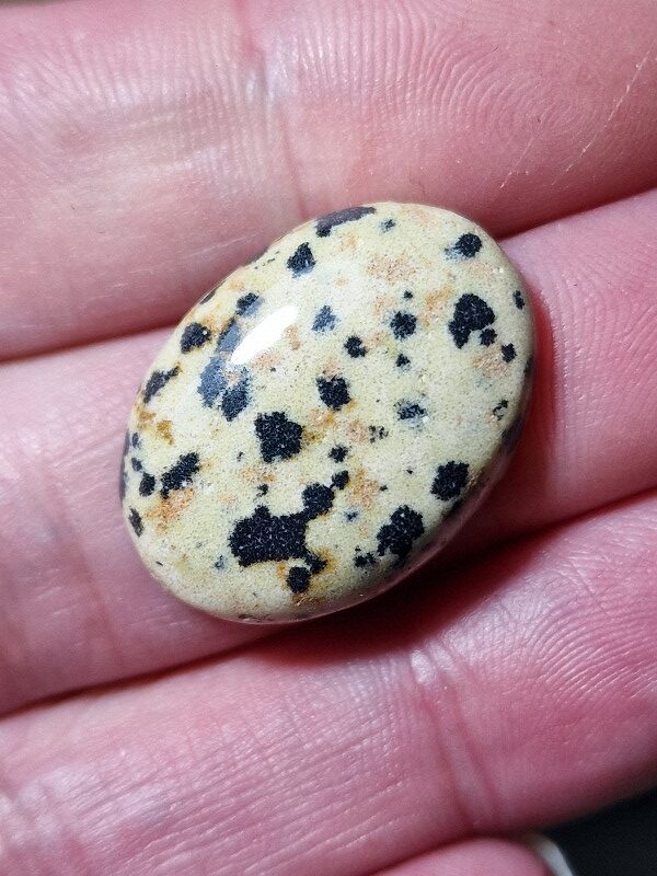 26x19mm dalmation jasper cabochon