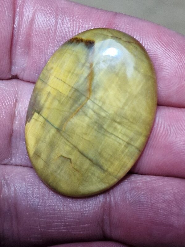 38x27mm Nellite cabochon