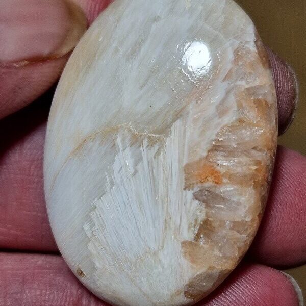 42x29mm scolecite cabochon
