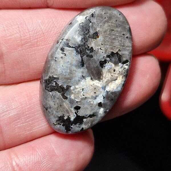 36x22mm Lavikite cabochon