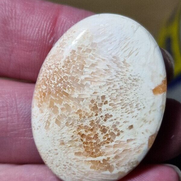 38x28mm scolecite cabochon