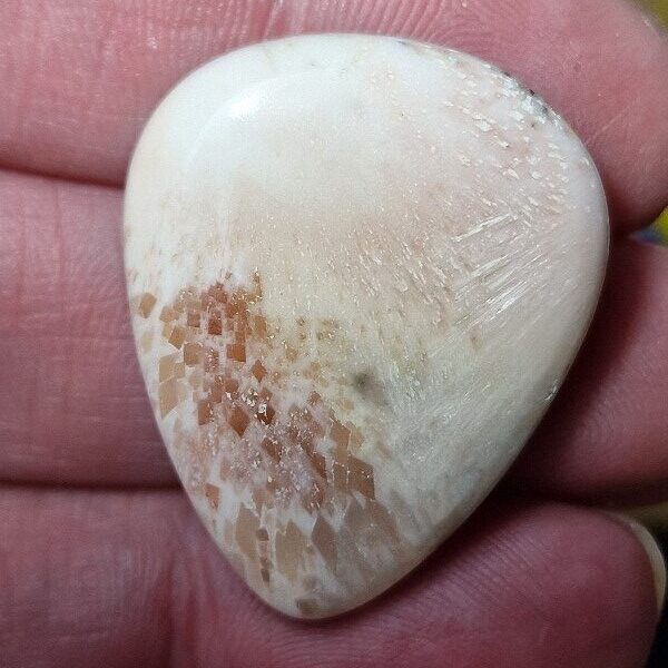 33x27mm scolecite cabochon