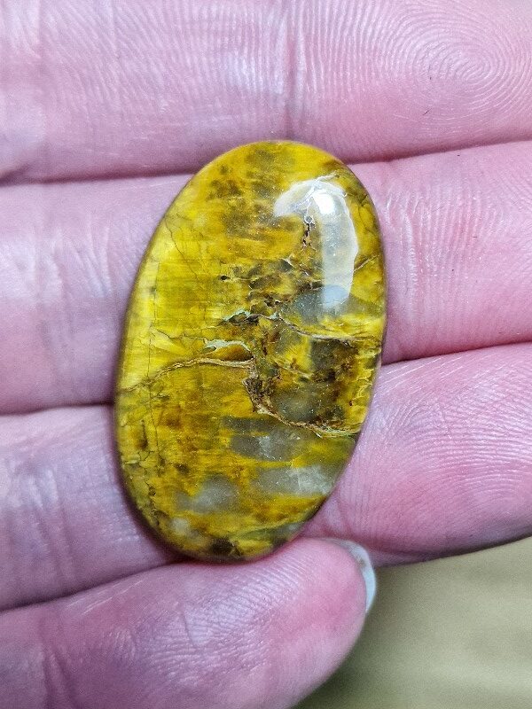34x21mm Nellite cabochon
