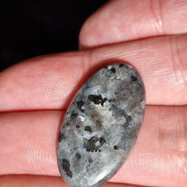 33x18mm Lavikite cabochon