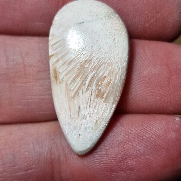 30x16mm scolecite cabochon