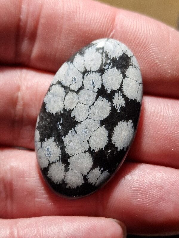 38x23mm snowflake obsidian cabochon