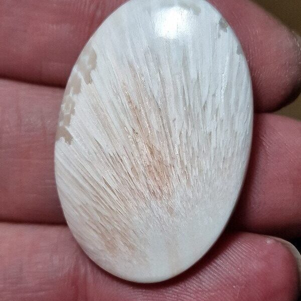 36x24mm scolecite cabochon
