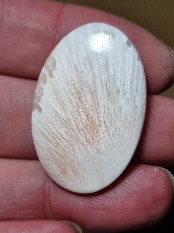 36x24mm scolecite cabochon