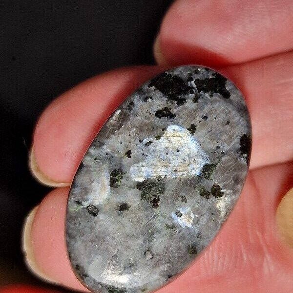 31x19mm Lavikite cabochon