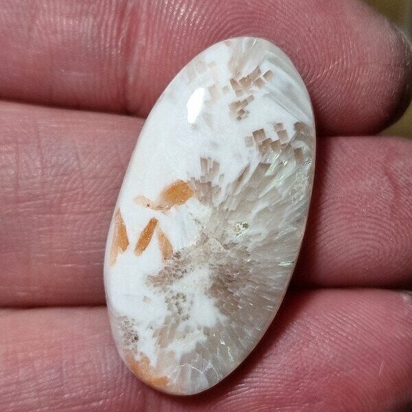 33x17mm scolecite cabochon