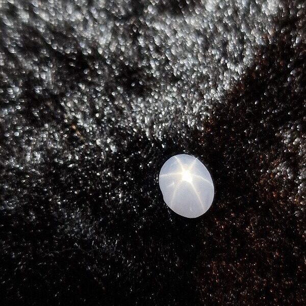 6.87x5.14x3.62mm Sri-Lankan star sapphire cabochon