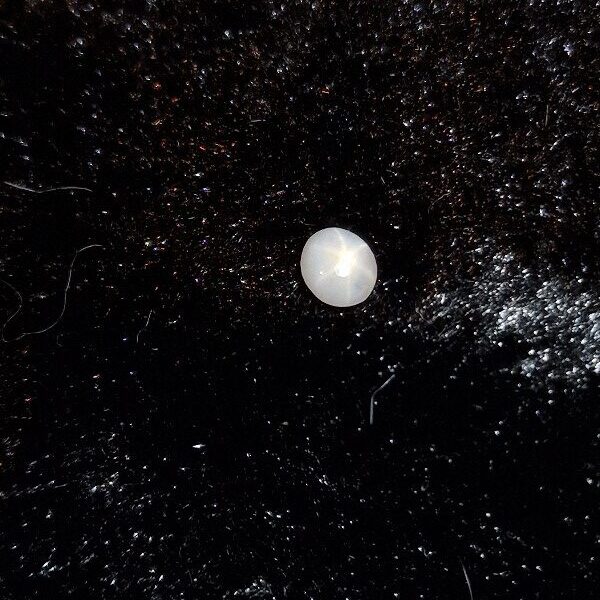 4.89x4.70x2.49mm Sri-Lankan star sapphire cabochon