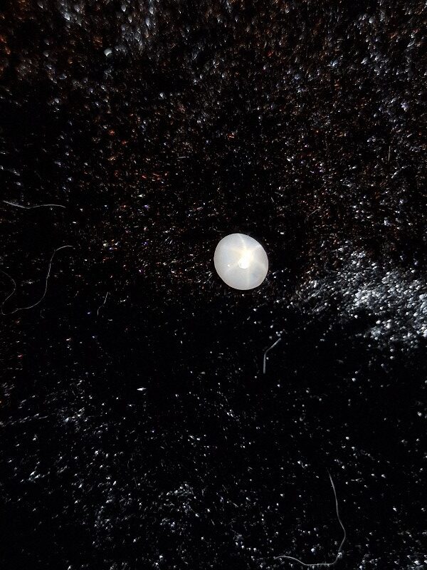 4.89x4.70x2.49mm Sri-Lankan star sapphire cabochon