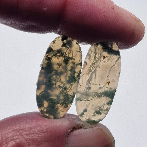 26x11mm pair of moss agate picture slice/cabochons
