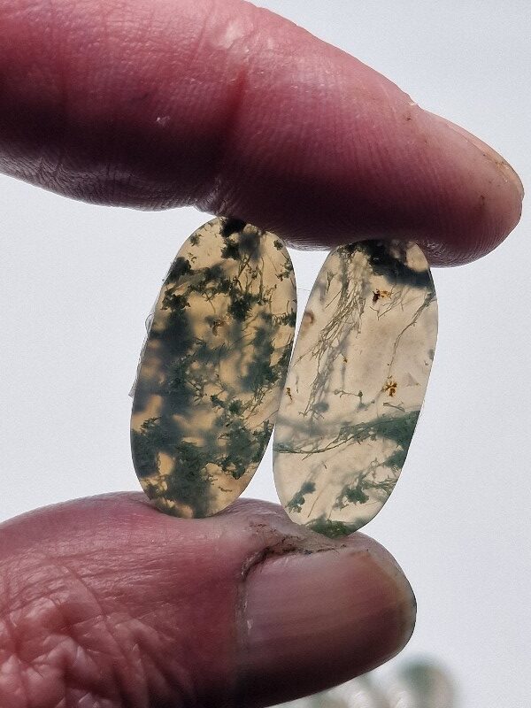 26x11mm pair of moss agate picture slice/cabochons