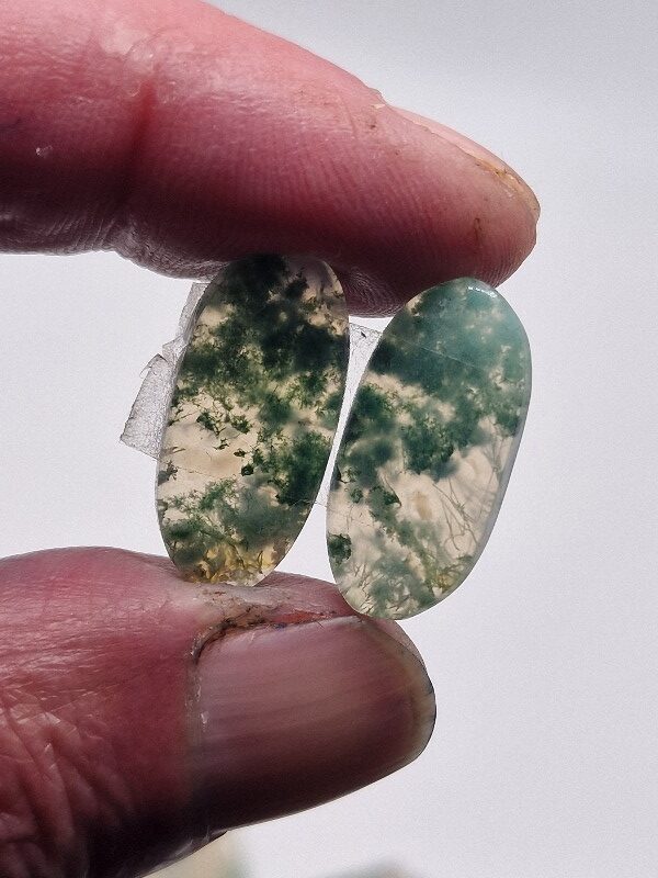 22x11mm pair of moss agate picture slice/cabochons