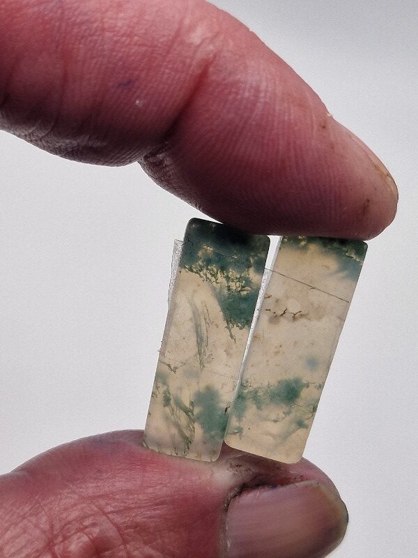 24x9mm pair of moss agate picture slice/cabochons