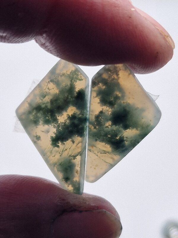 29x15mm pair of moss agate picture slice/cabochons