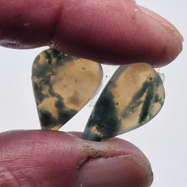 20x14mm pair of moss agate picture slice/cabochons