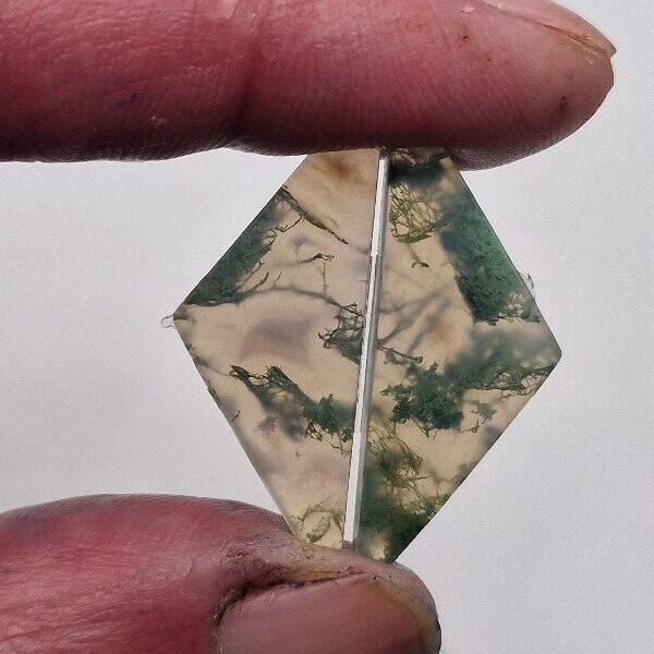 29x13mm pair of moss agate picture slice/cabochons