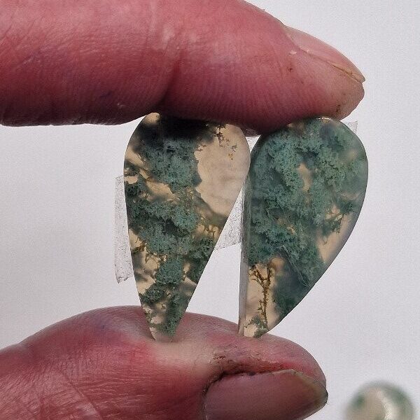 29x14mm pair of moss agate picture slice/cabochons