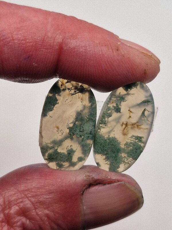 25x14mm pair of moss agate picture slice/cabochons