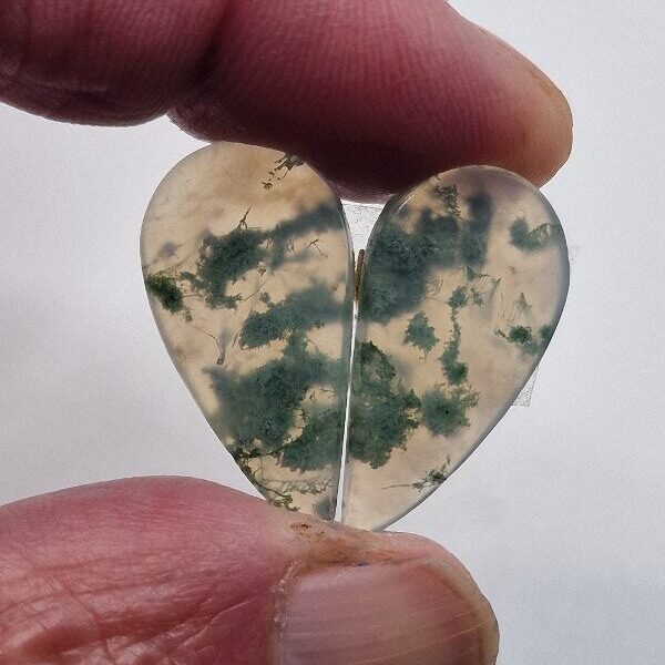 27x14mm pair of moss agate picture slice/cabochons