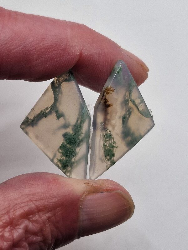 34x20mm pair of moss agate picture slice/cabochons