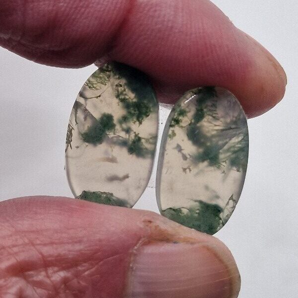 21x12mm pair of moss agate picture slice/cabochons