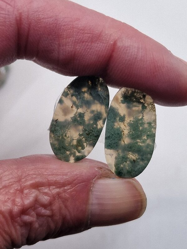24x13mm pair of moss agate picture slice/cabochons