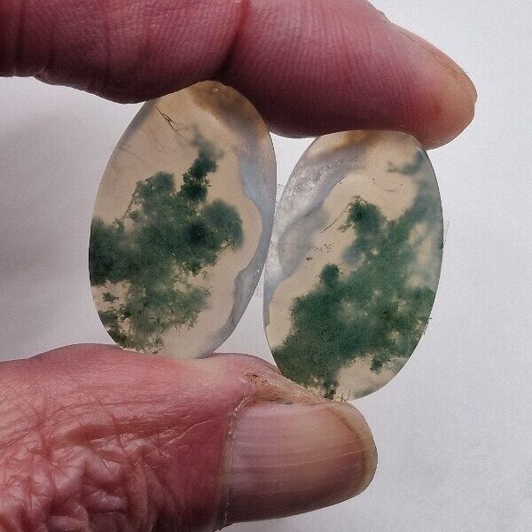 29x18mm pair of moss agate picture slice/cabochons
