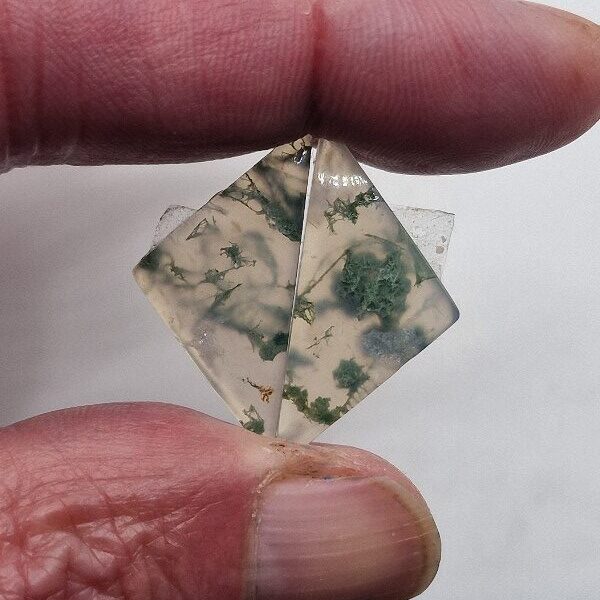 27x14mm pair of moss agate picture slice/cabochons