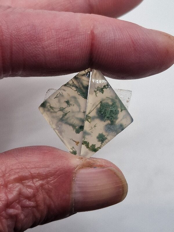 27x14mm pair of moss agate picture slice/cabochons