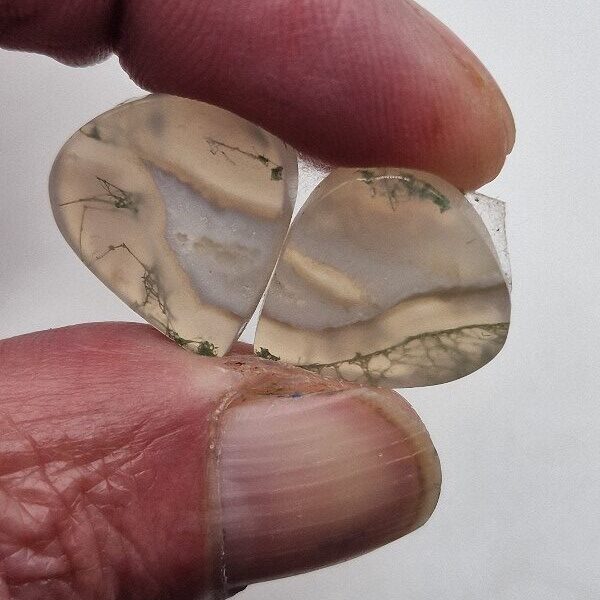 19x17mm pair of moss agate picture slice/cabochons
