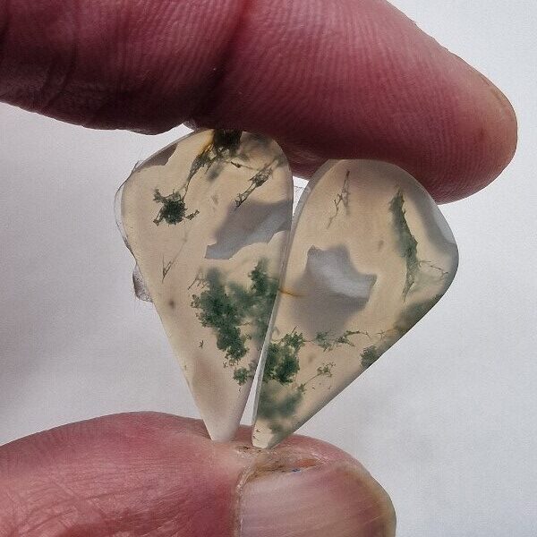 26x14mm pair of moss agate picture slice/cabochons