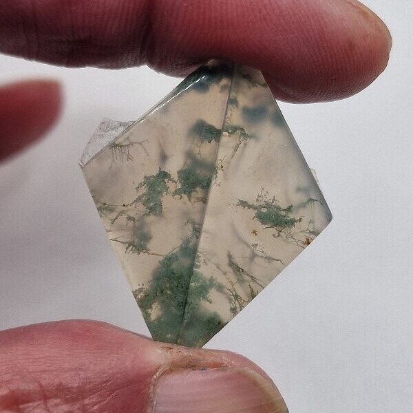 34x14mm pair of moss agate picture slice/cabochons