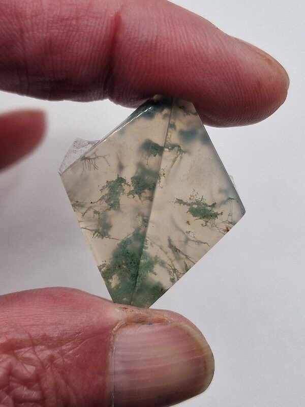 34x14mm pair of moss agate picture slice/cabochons