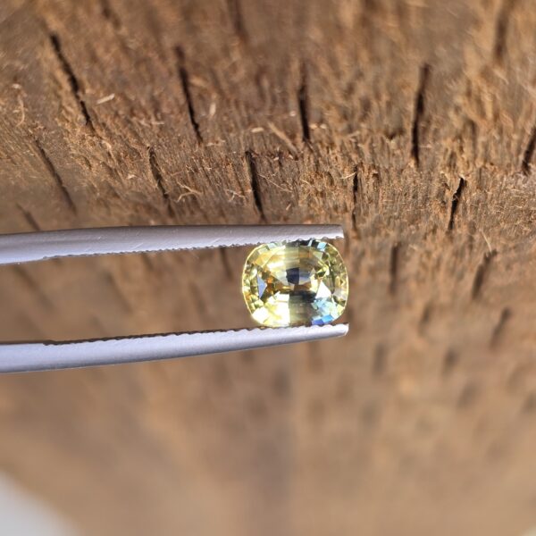7.00x5.96x4.09mm Sri-Lankan bicolour sapphire facet