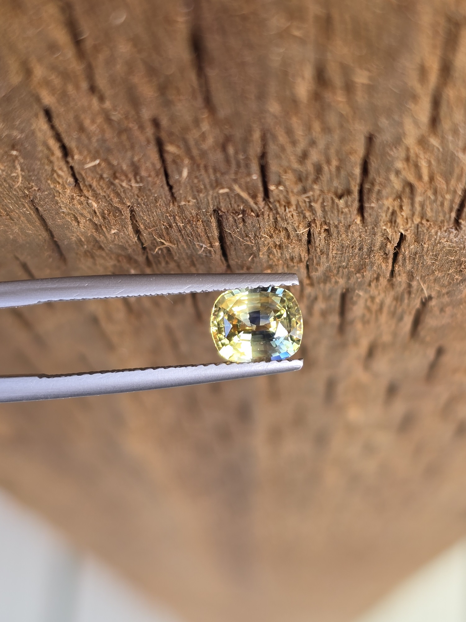 7.00x5.96x4.09mm Sri-Lankan bicolour sapphire facet