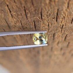 Your precious gems 7.00x5.96x4.09mm Sri-Lankan bicolour sapphire facet