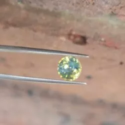 Your precious gems 7.40x7.30x4.55mm Sri-Lankan round bi-colour sapphire facet