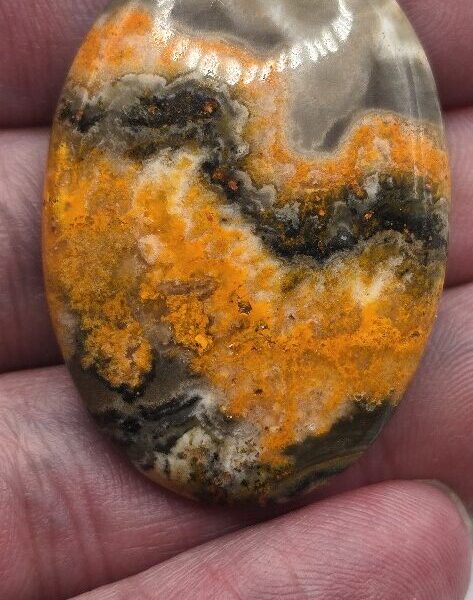 41x29mm bumblebee jasper cabochon