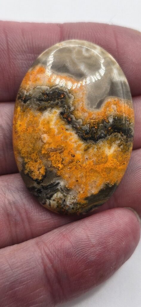 41x29mm bumblebee jasper cabochon