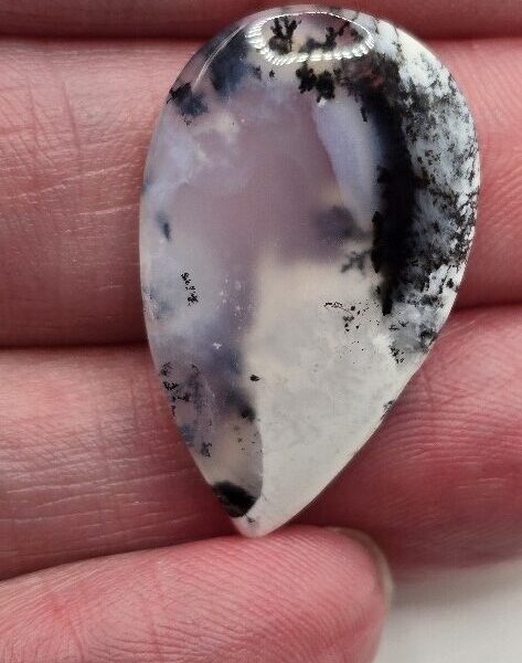 31x19mm Dendritic chalcedony cabochon