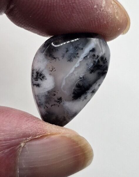 26x17mm Dendritic chalcedony cabochon