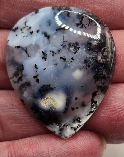 36x31mm Dendritic chalcedony cabochon