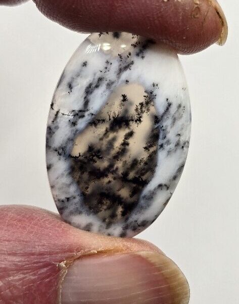 31x21mm Dendritic chalcedony cabochon