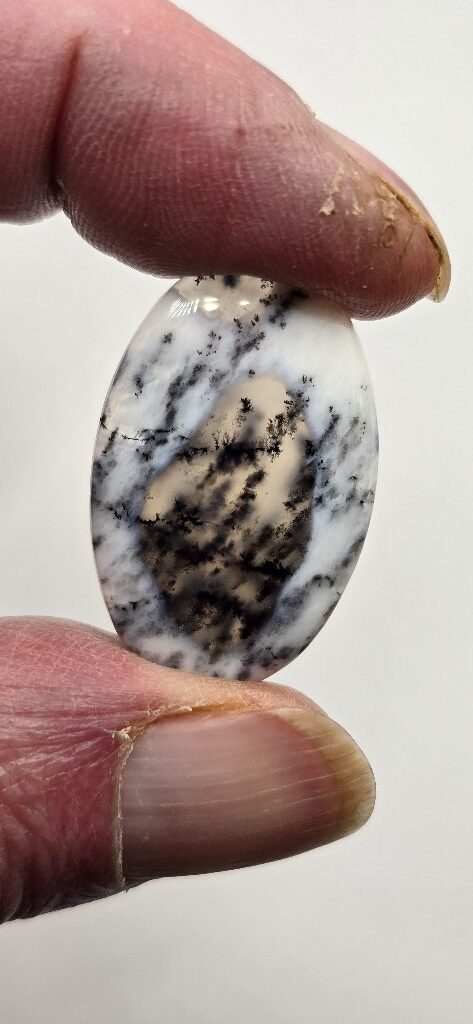 31x21mm Dendritic chalcedony cabochon