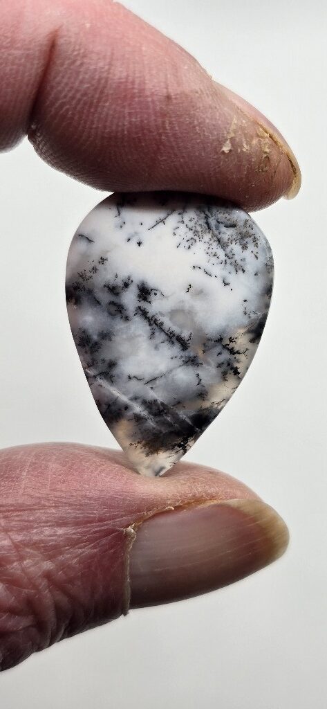32x21mm Dendritic chalcedony cabochon